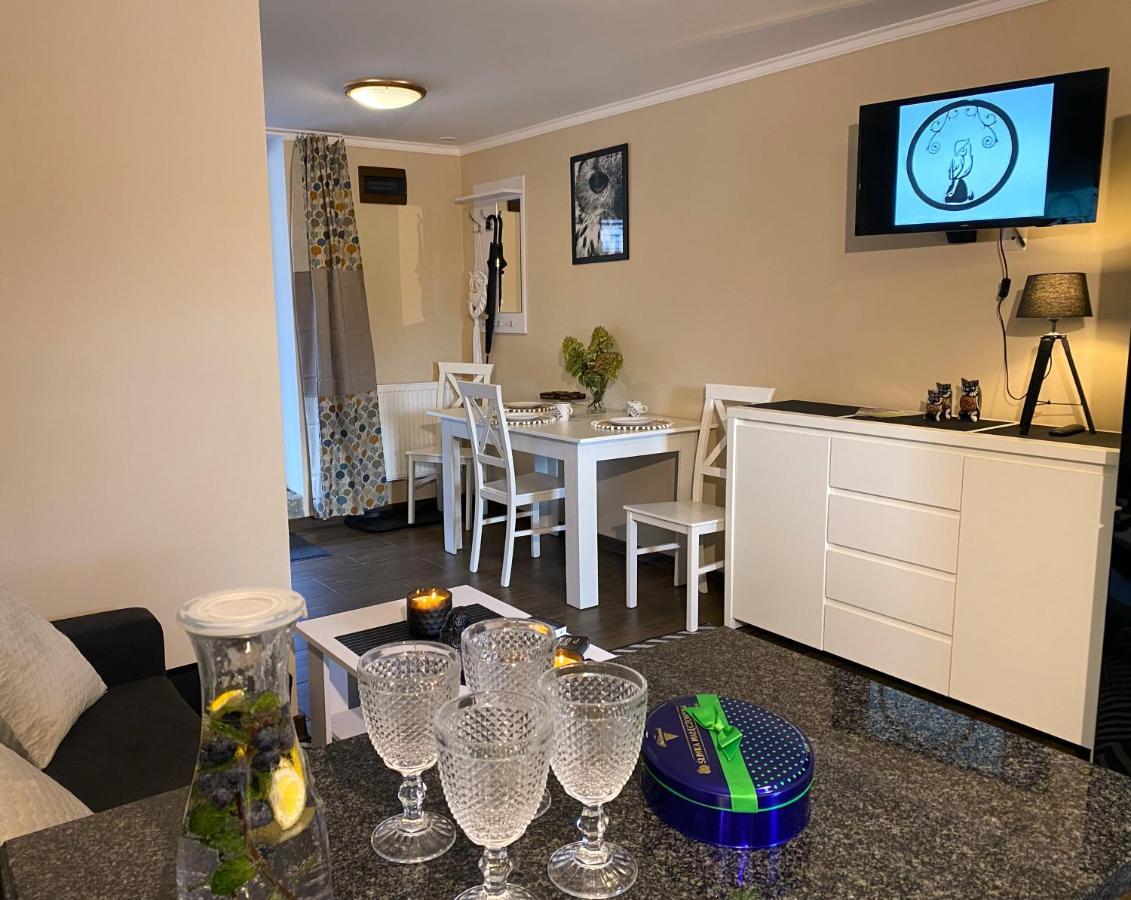 Aparthotel Kamien I Sowa Lipinki Łużyckie Exteriér fotografie